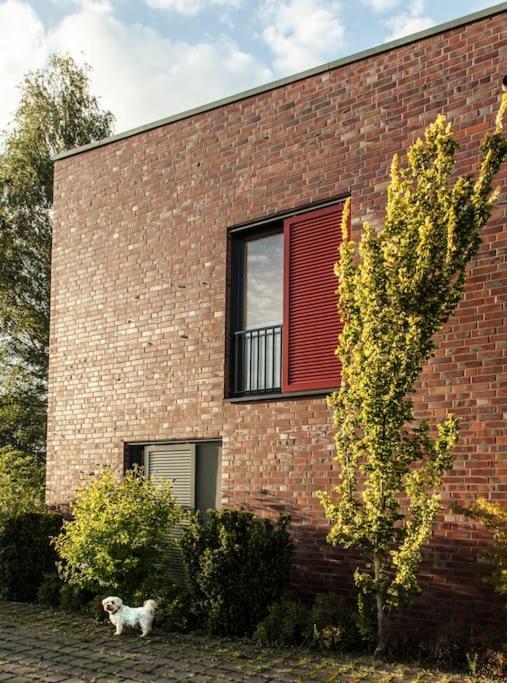 Schickes Wohnstudio Mit Garten Am Aasee Ibbenbüren 外观 照片